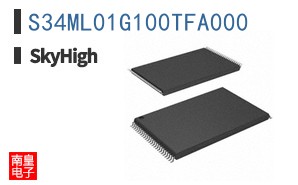 S34ML01G100TFA000