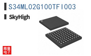S34ML02G100TFI003
