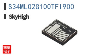 S34ML02G100TFI900