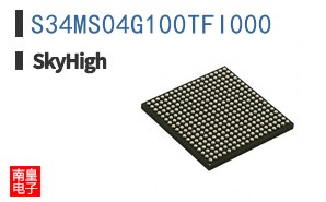 S34MS04G100TFI000