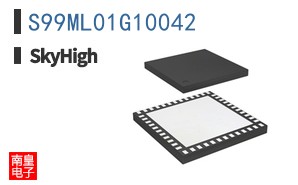 S99ML01G10042