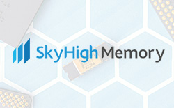 SkyHigh公司